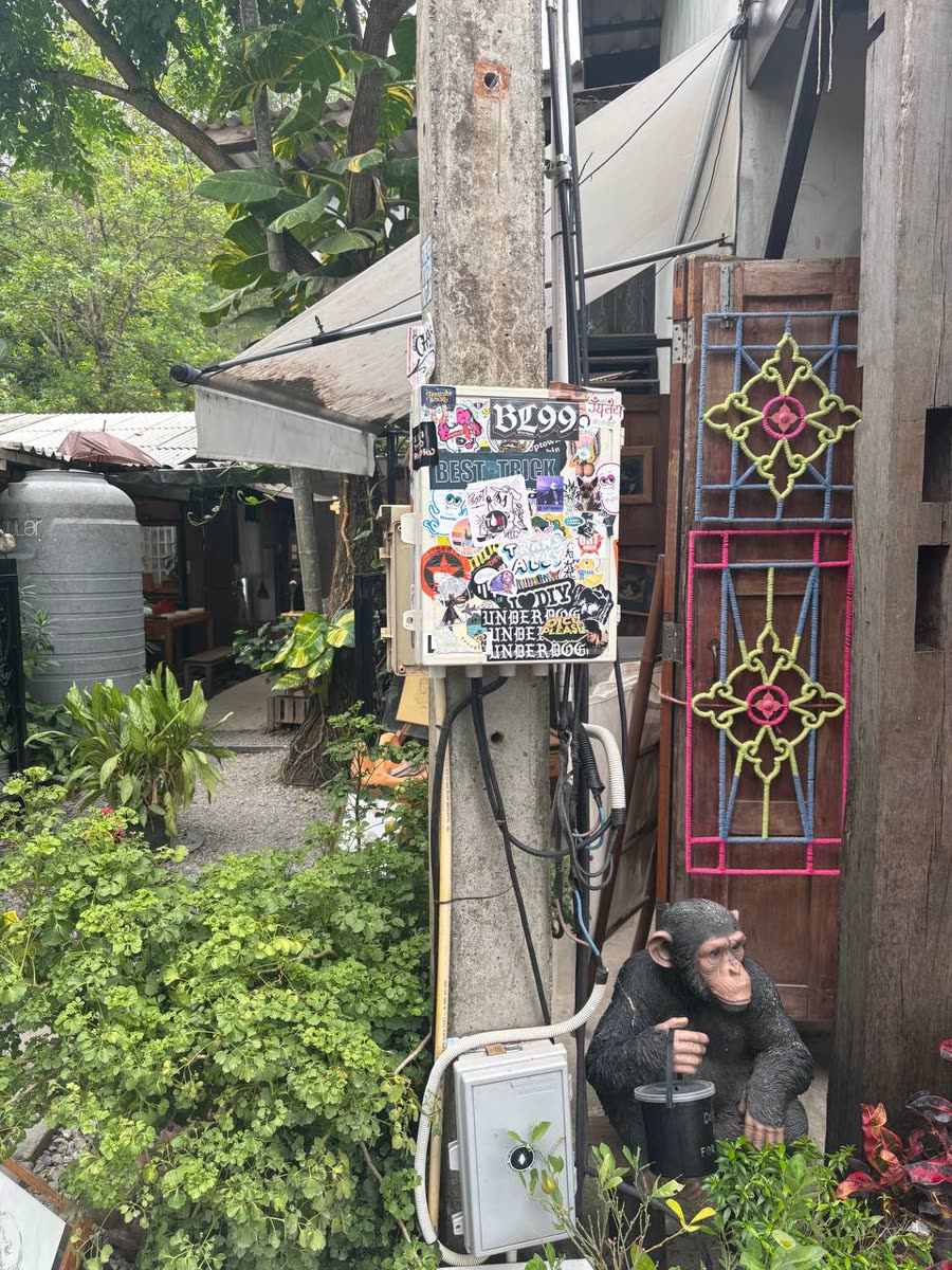 Sticker-covered utility pole and chimp statue in a leafy alley